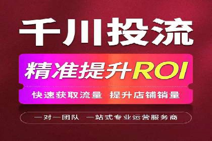 百度推广实战：成功案例解析